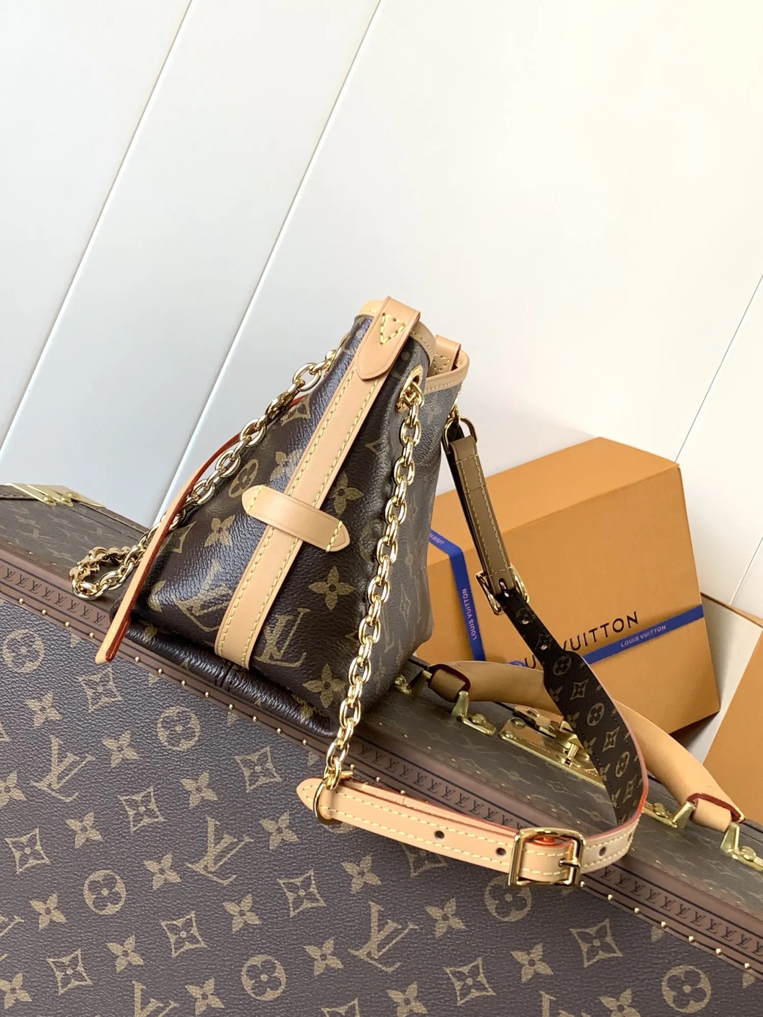 CarryAll 牛皮 链条包 精致链条款