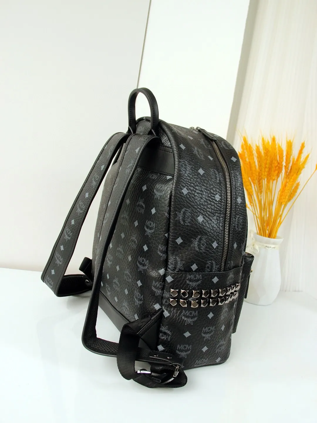 Backpack Canvas