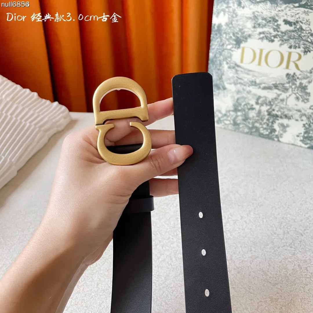 Dior 牛皮裙装 精致穿搭 腰带