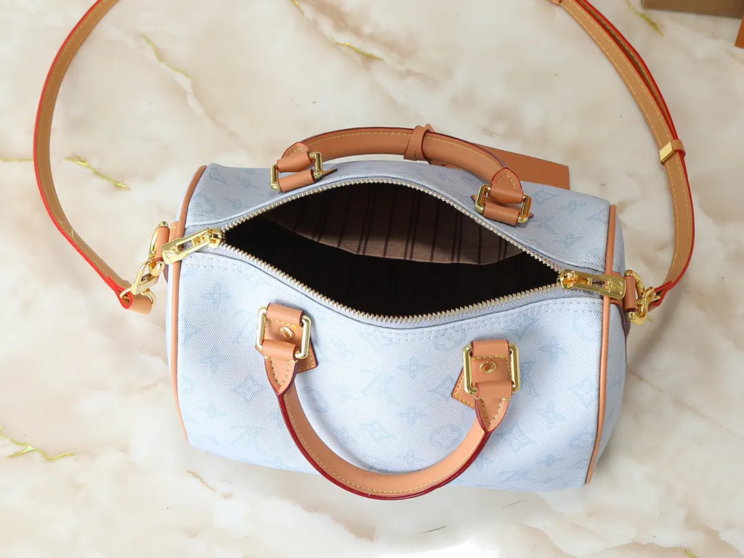Louis Vuitton Organizer Pouch Travel Leather