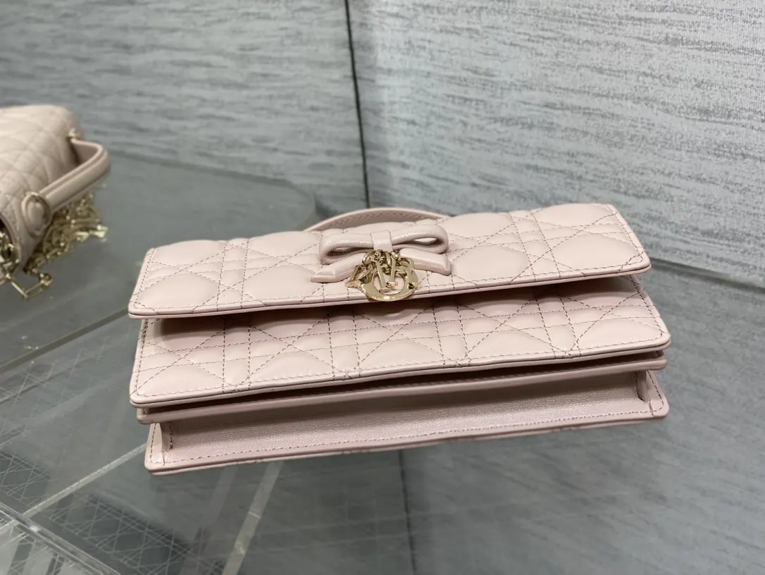 Dior Red Crossbody Bag