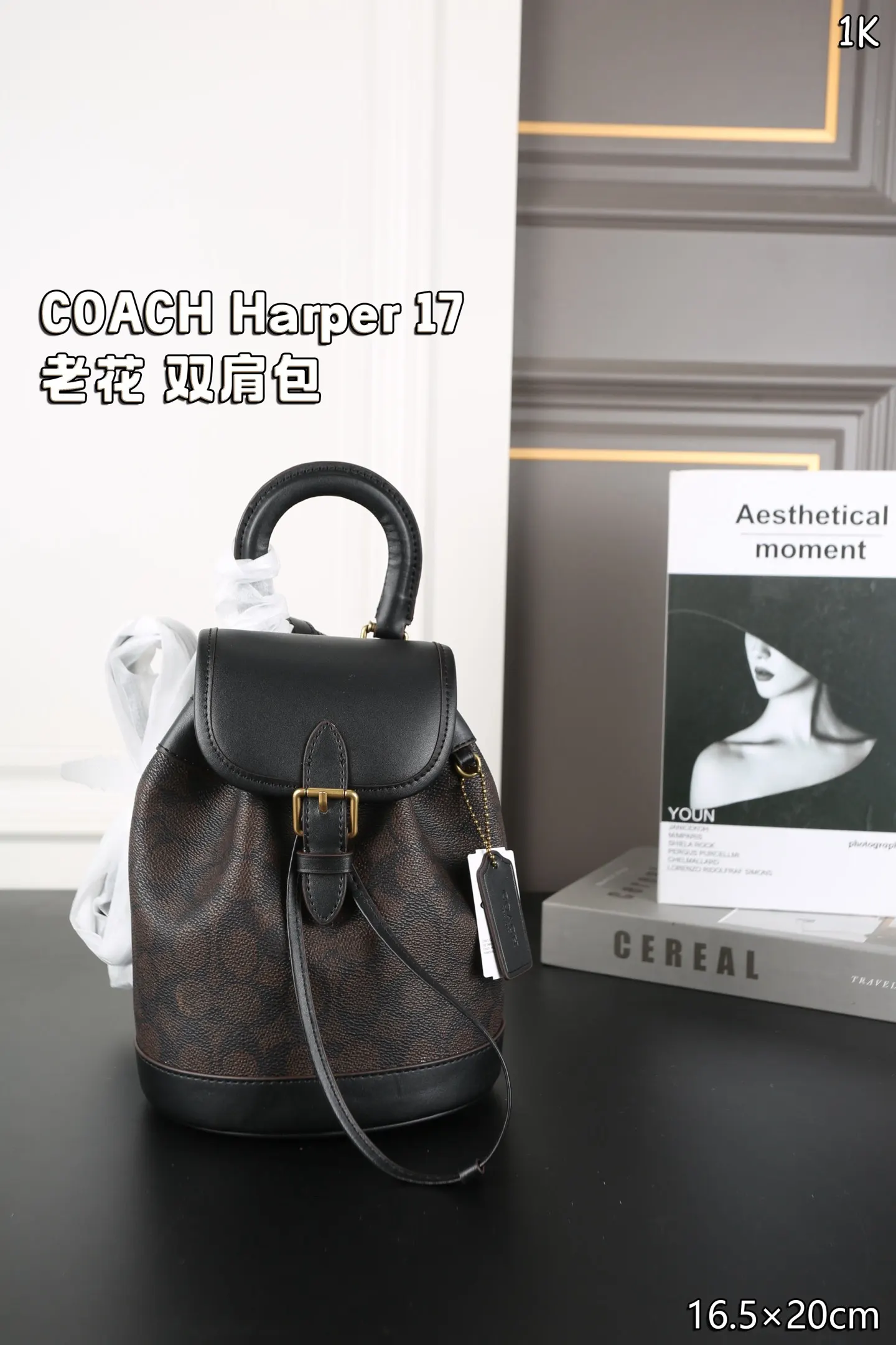 Coach 老花 雙肩包 实用雙肩款