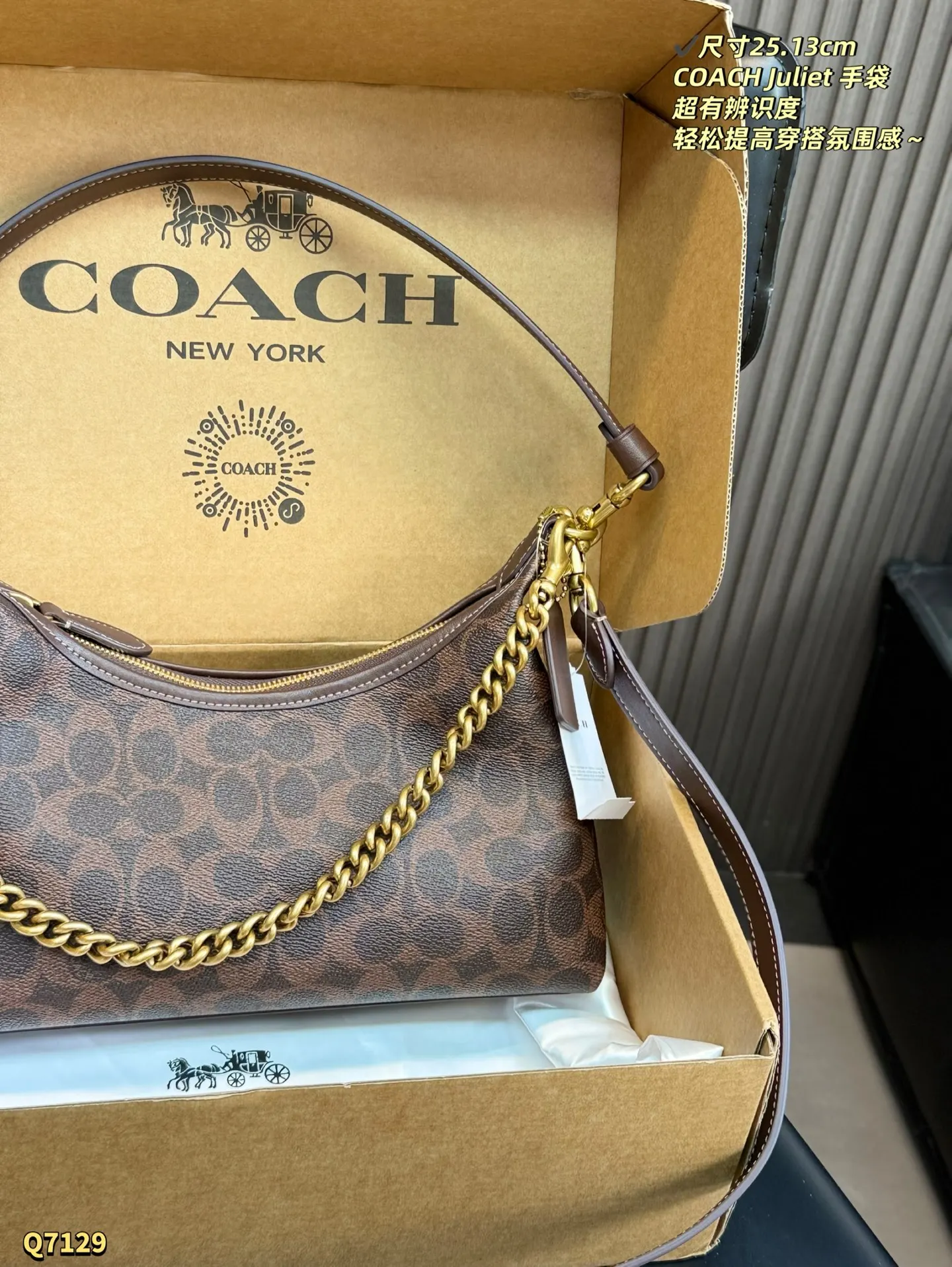 Coach 棕色 老花 尺寸 Juliet 手袋 經典 腋下包 復古腋下背款(數字9) Coach 棕色 老花 尺寸 Juliet 手袋 經典 腋下包 復古腋下背款(數字9)