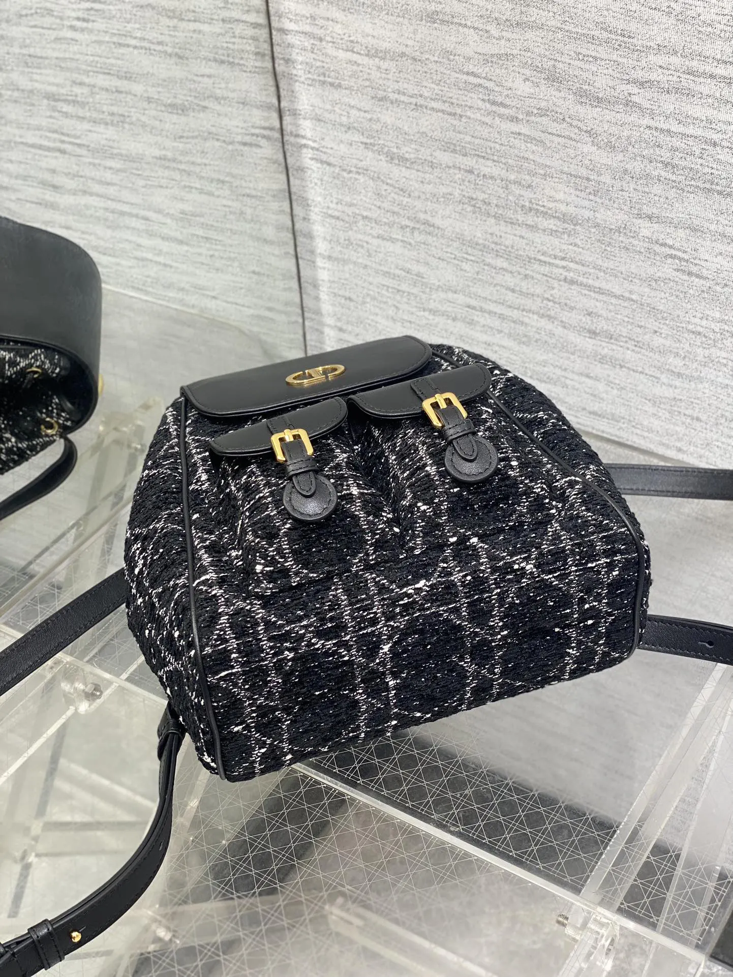 Dior Gold Backpack