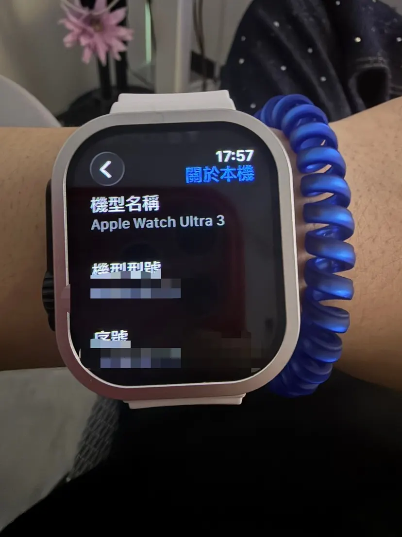 微信下单包邮 送 AleWatch Ult 手錶 經典腕表款
