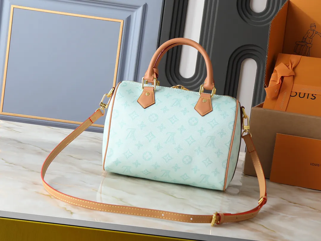 LV Speedy 牛皮 收纳包 旅行收纳款