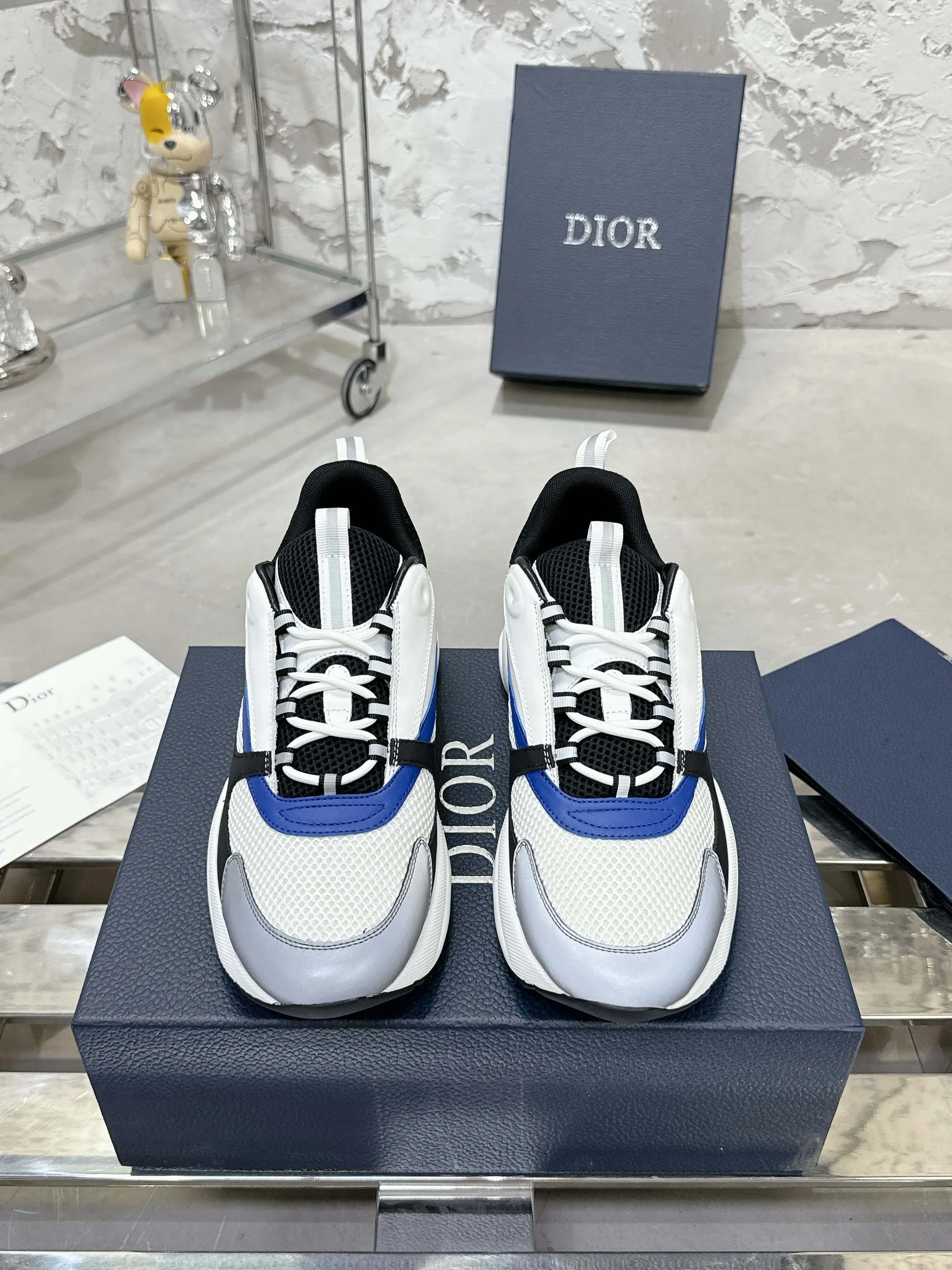 Dior B22 运动鞋