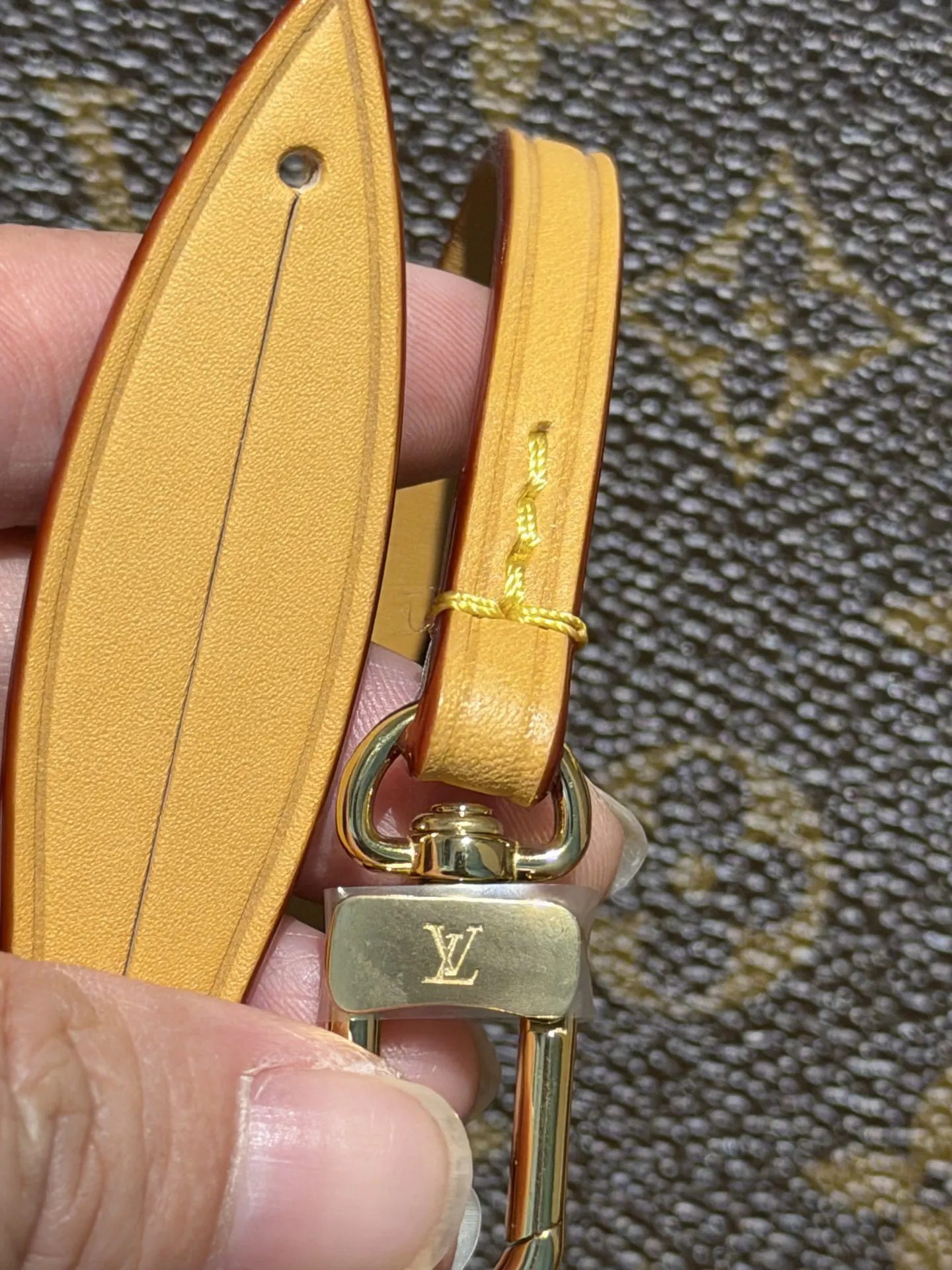 Louis Vuitton M46203 Handbag