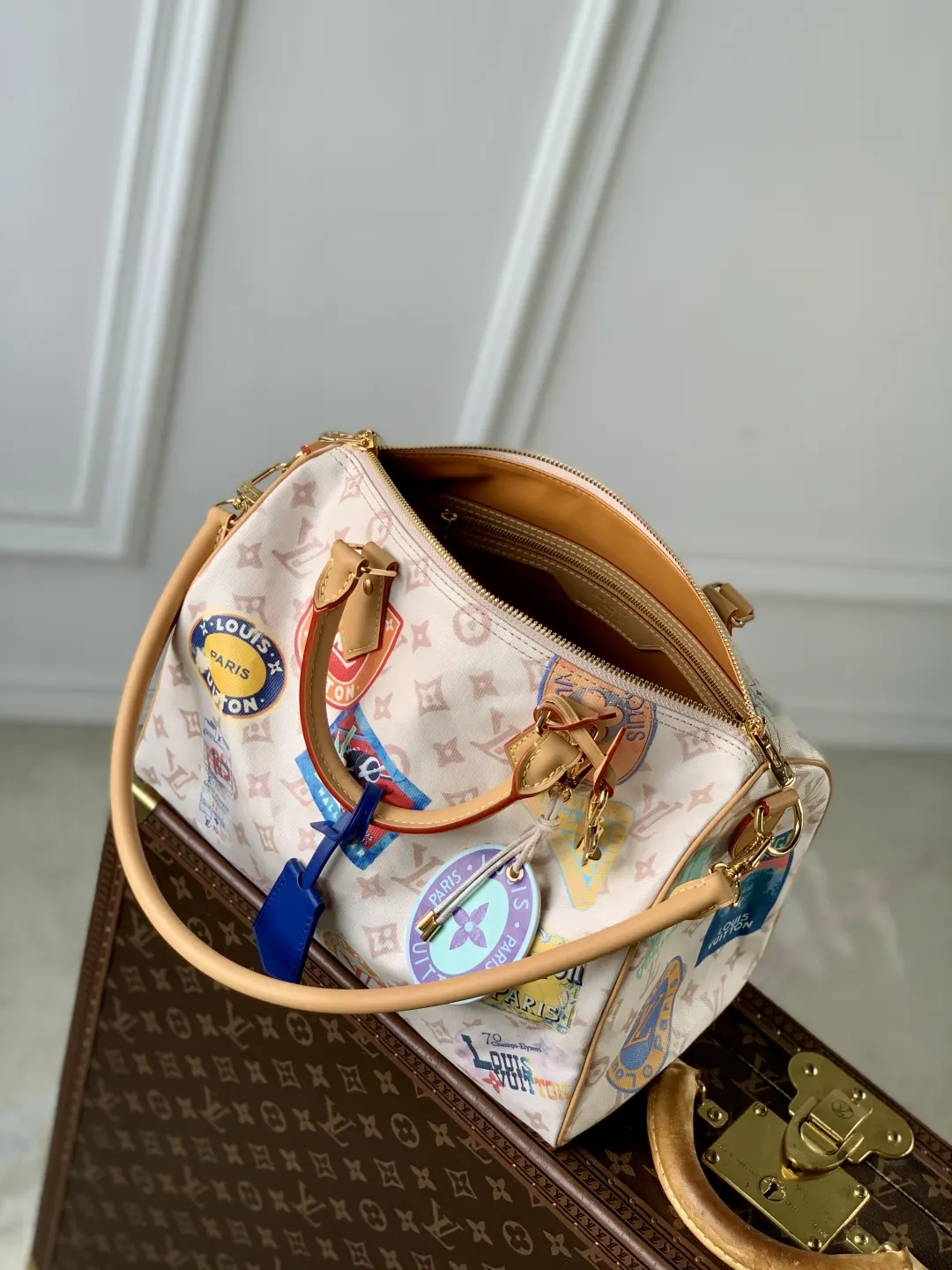 Louis Vuitton Shoulder Bag