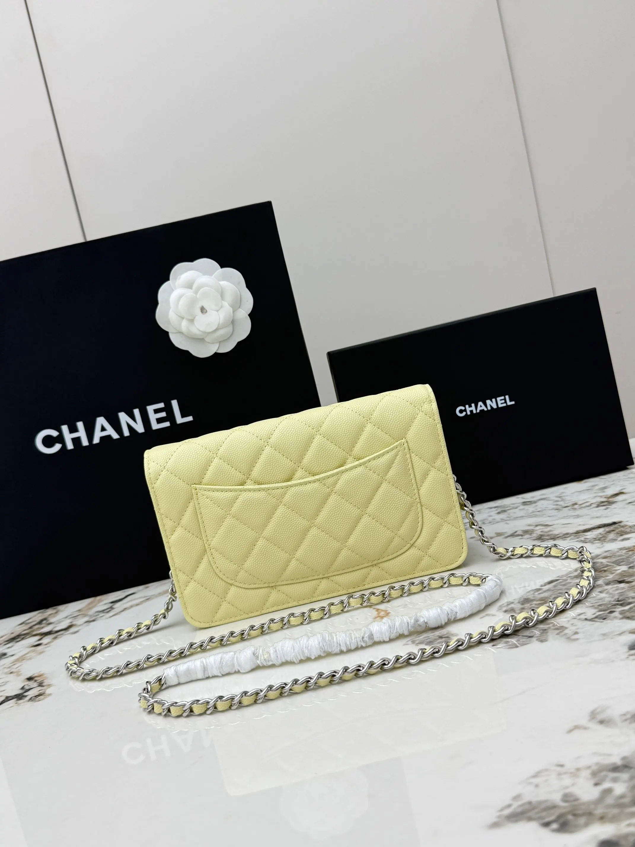 Chanel Chain Bag Leather