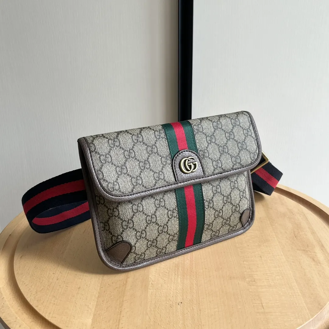 Gucci Belt Bag Casual