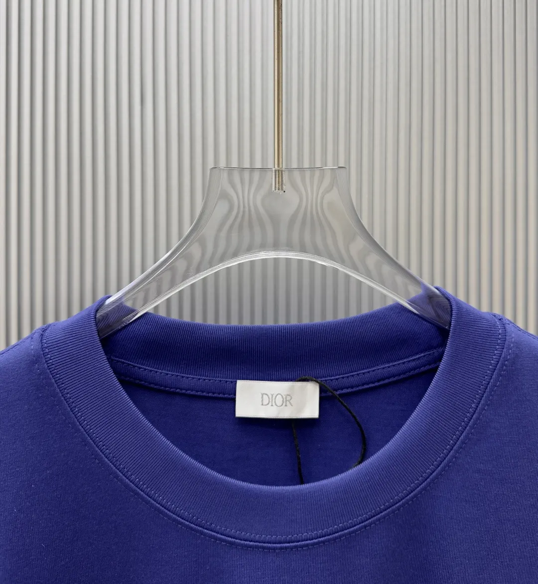 Dior 蓝色字母短袖T恤 休闲宽松款
