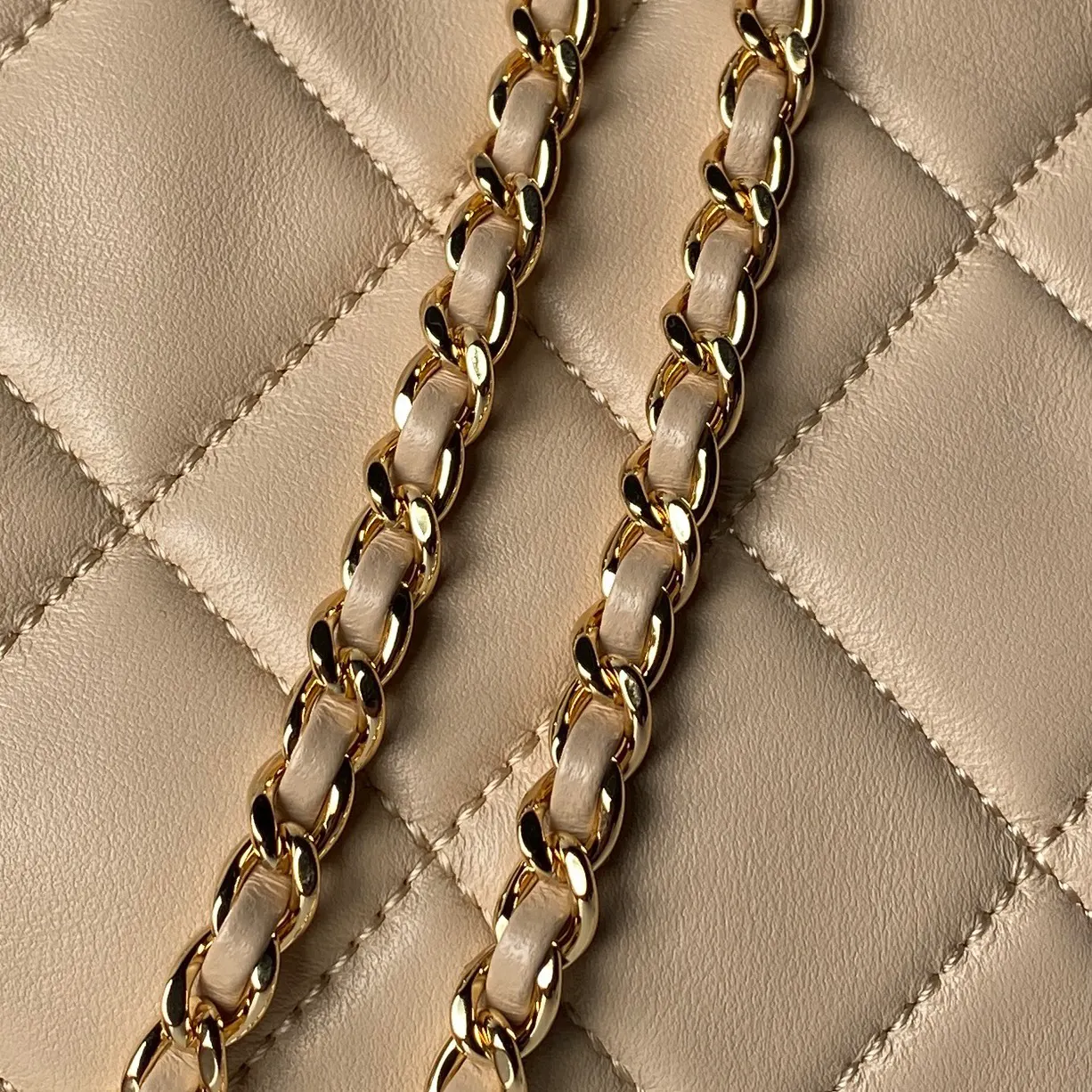 Gold Chain Bag