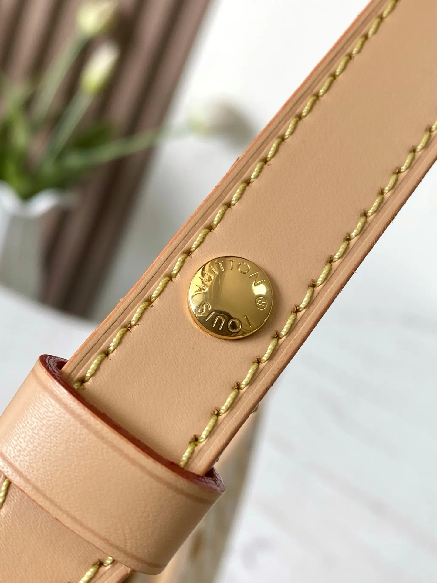Louis Vuitton Beige Chain Bag Leather