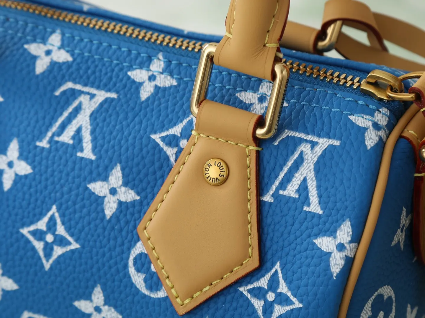 LV Speedy blue yellow color scheme handbag Image 5 LV Speedy blue yellow color scheme handbag Image 5