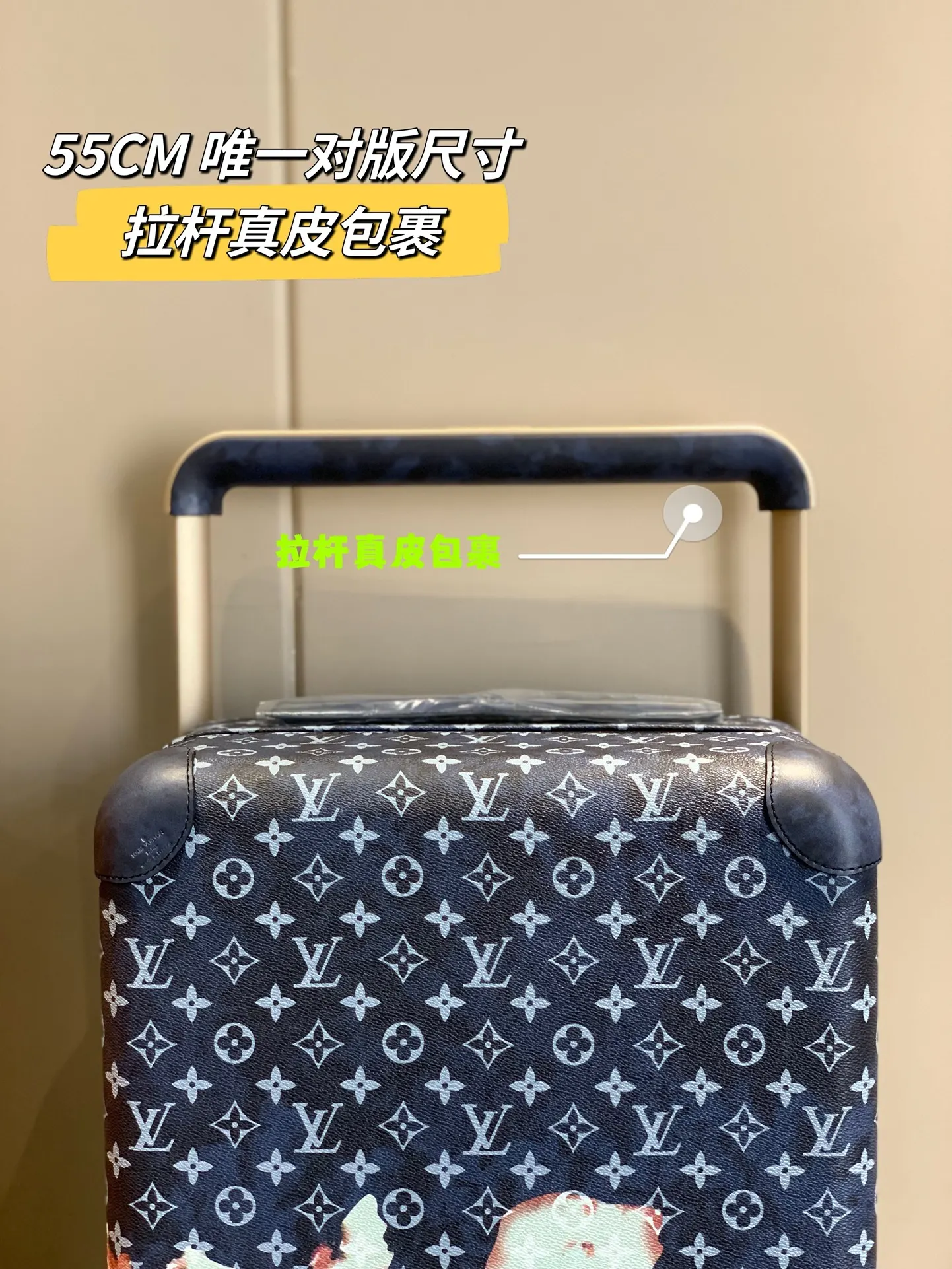 銀色 拉杆真皮包裹 行李箱 旅行拉杆款 輕便出行款