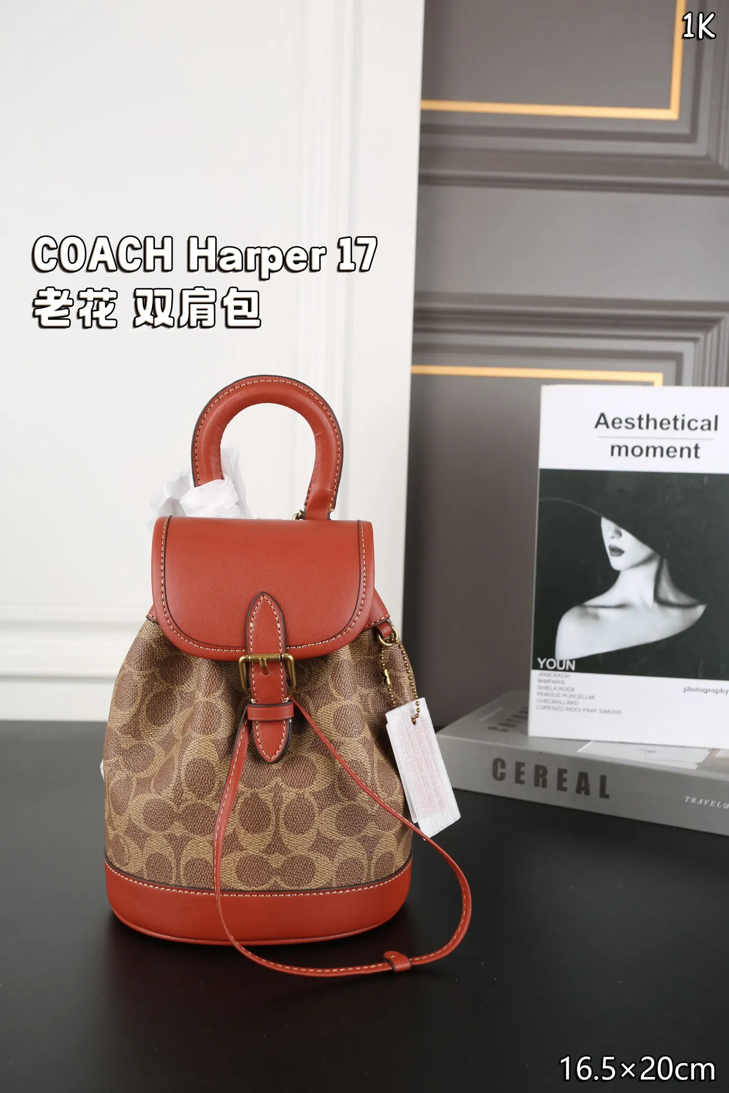 Coach 老花 雙肩包 实用雙肩款