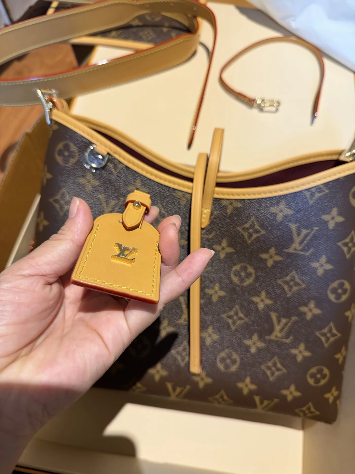 CarryAll 链条包 精致链条款