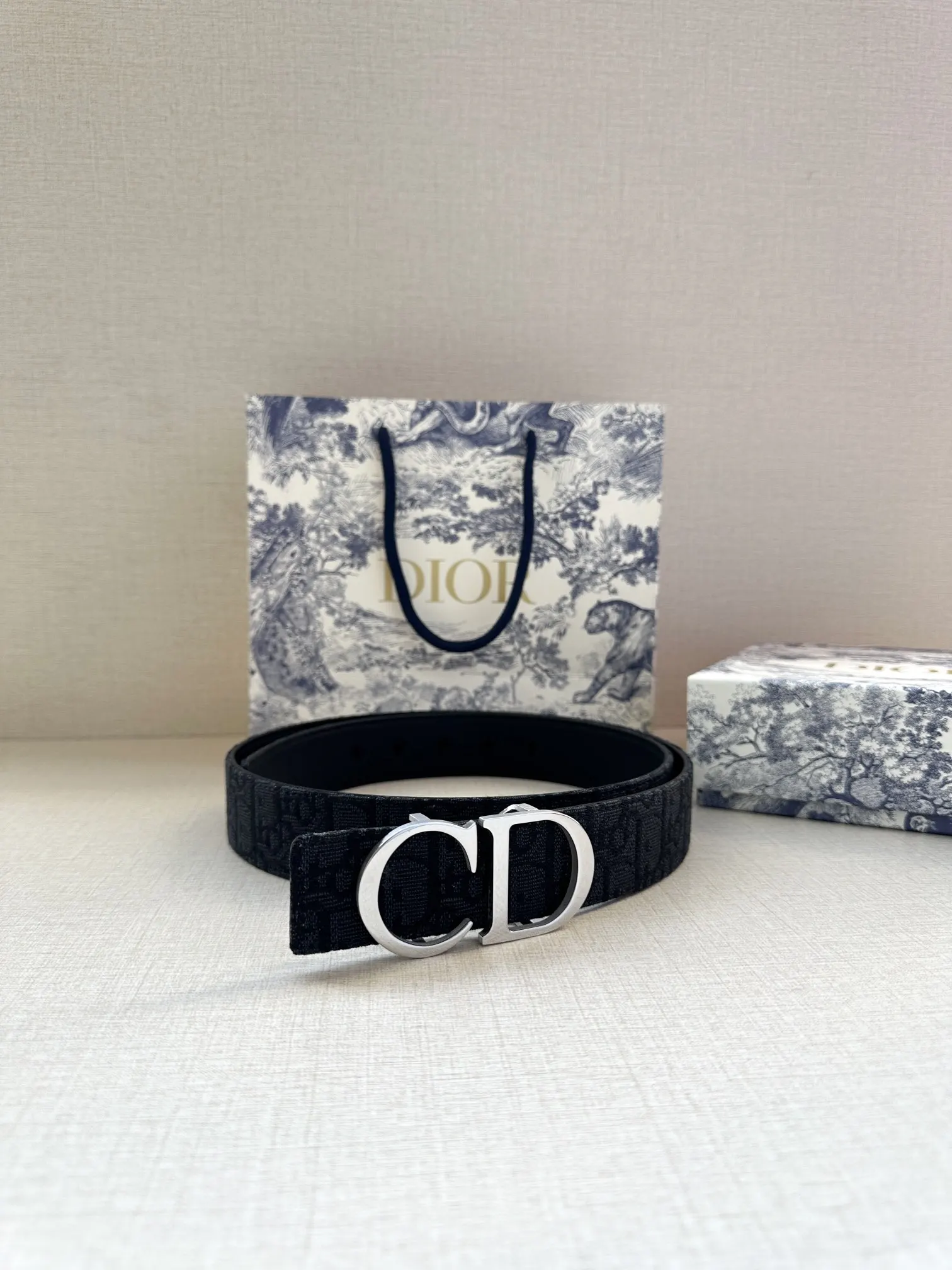 Dior 黑色Oblique腰带 CD金扣款