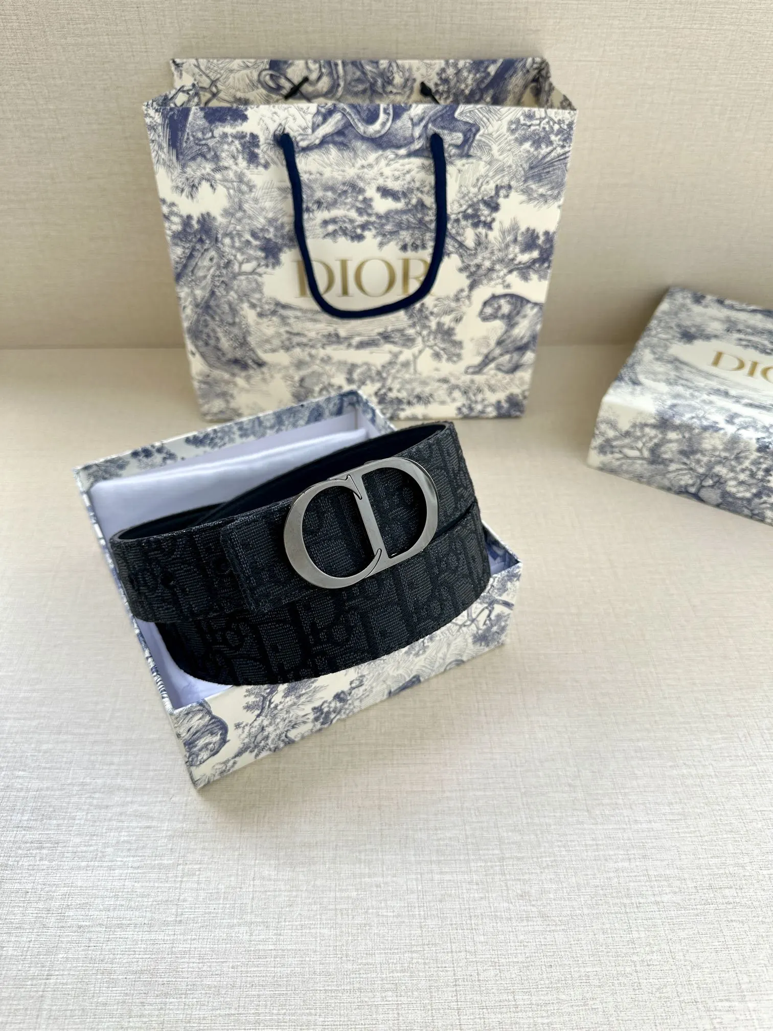 Dior Oblique 黑色/银色 腰带