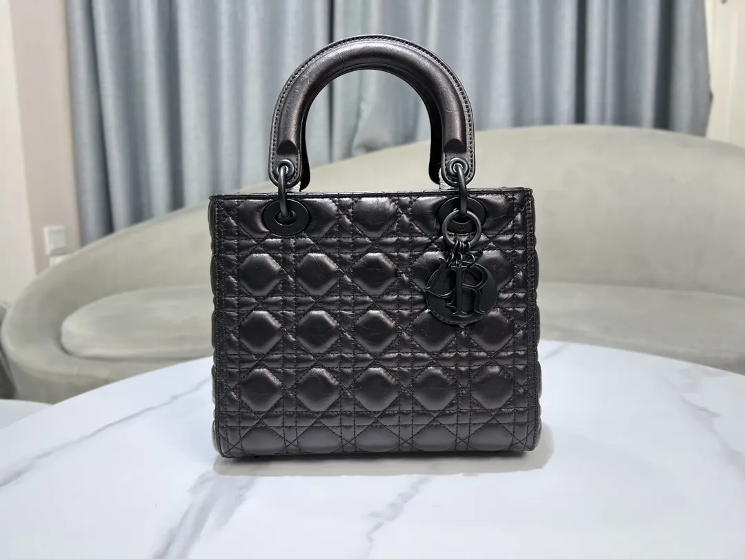 Dior 黑色 进口 油蜡皮戴妃包 五格 油蜡皮戴妃 收納包 旅行收納款