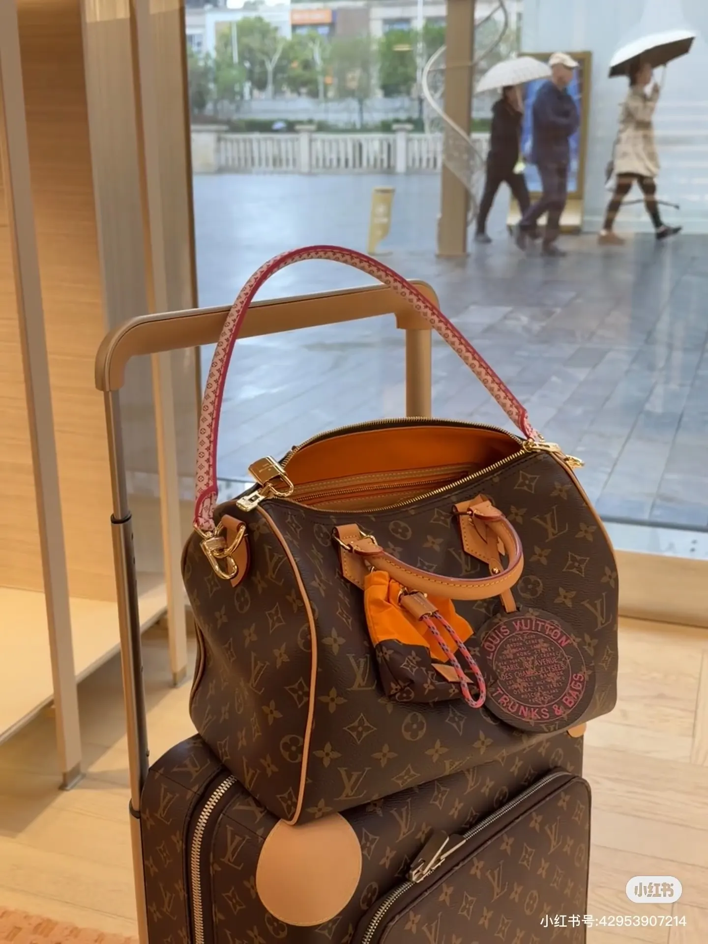 Louis Vuitton Organizer Pouch Travel Canvas