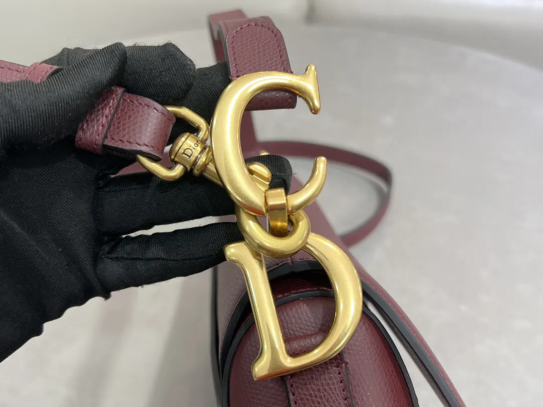 Dior Saddle 红色 手提包