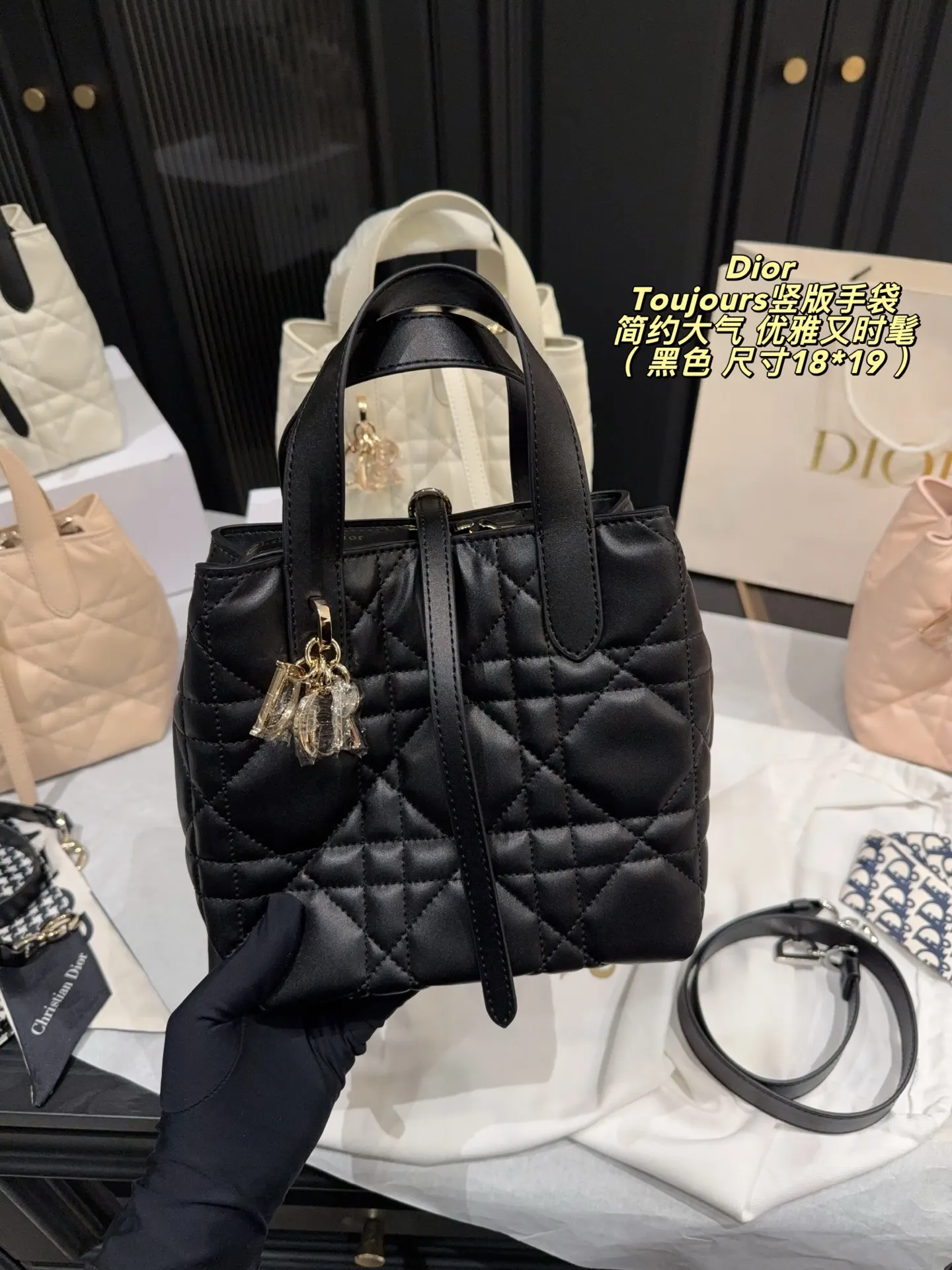 Dior Organizer Pouch Travel
