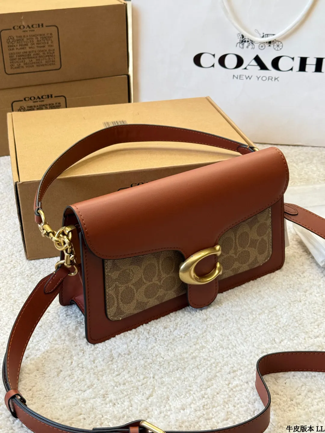 Coach 銀色 牛皮 Tabby 收納包 旅行收納款