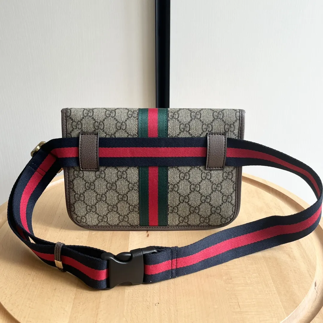 Gucci Belt Bag Casual