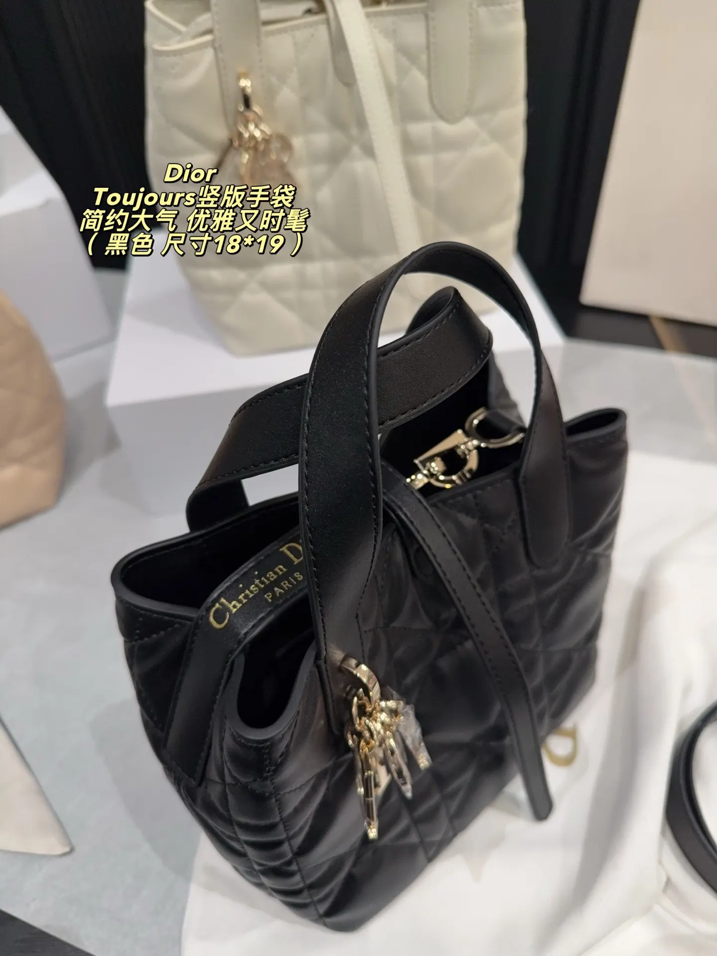 Dior Organizer Pouch Travel