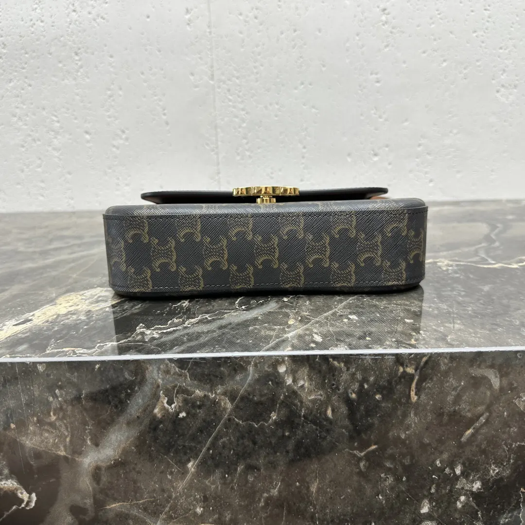 Triomphe 银色 牛皮 双肩包 实用双肩款