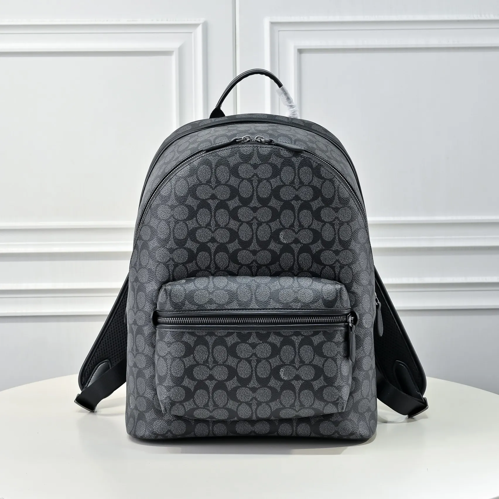 Coach 款号 尺寸 款号 尺寸 雙肩包 实用雙肩款