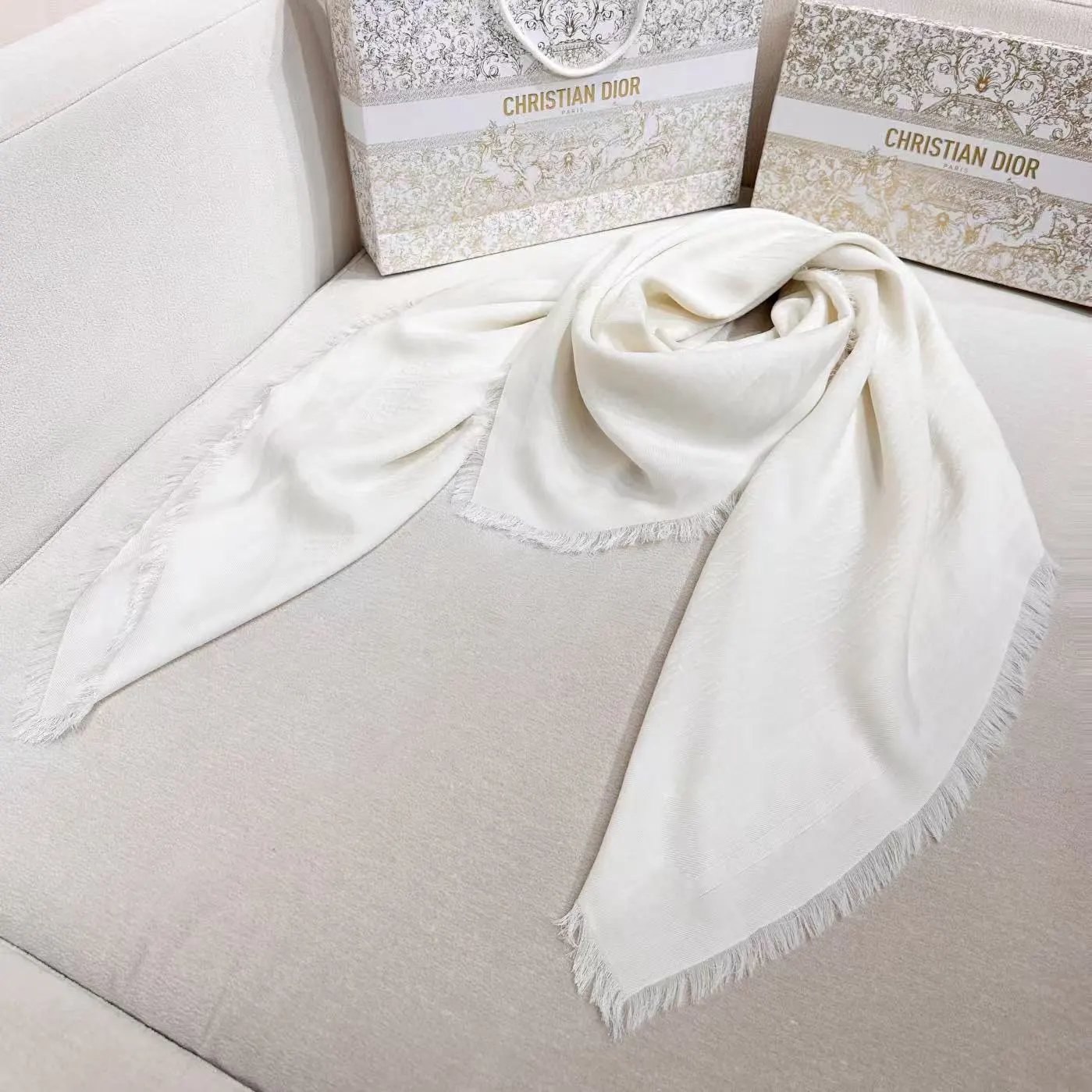 Dior Wool Printed Scarf