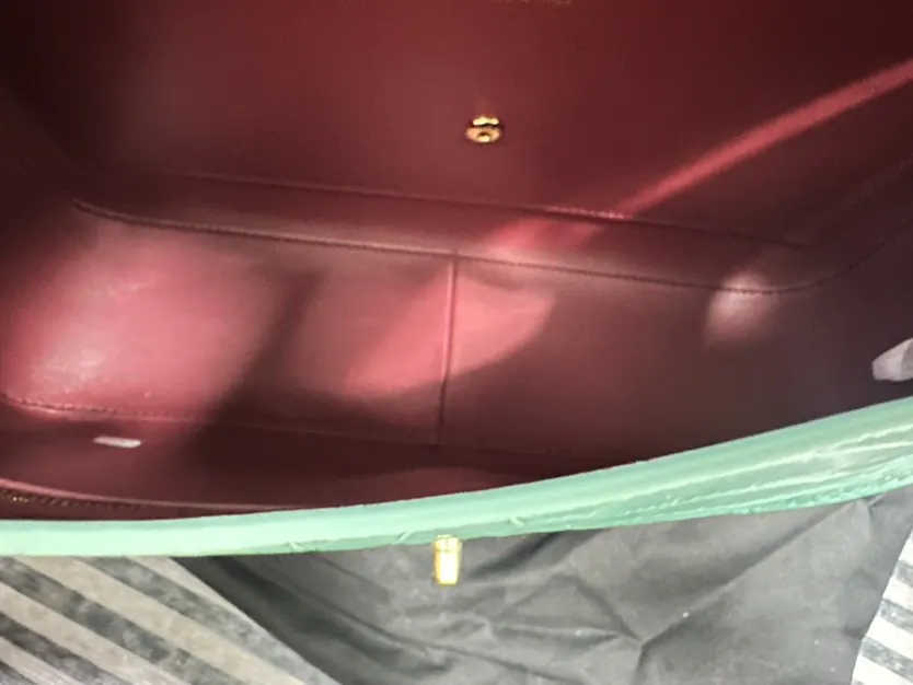 金色 米色 鳄鱼纹 能装下出门的底气 也装得下一份好心情 一整个期待值拉 链条包 精致链条款