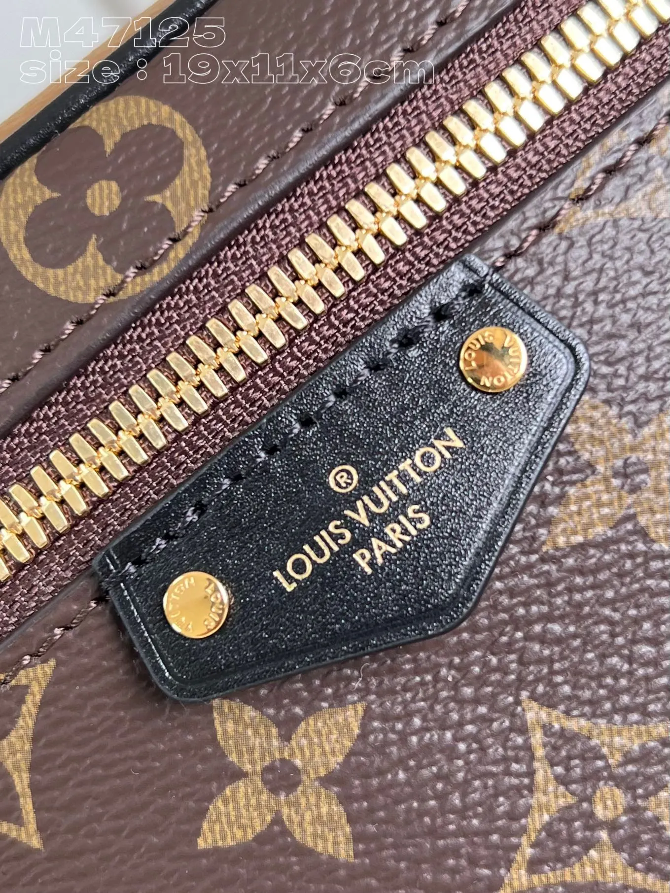Louis Vuitton Chain Bag Canvas
