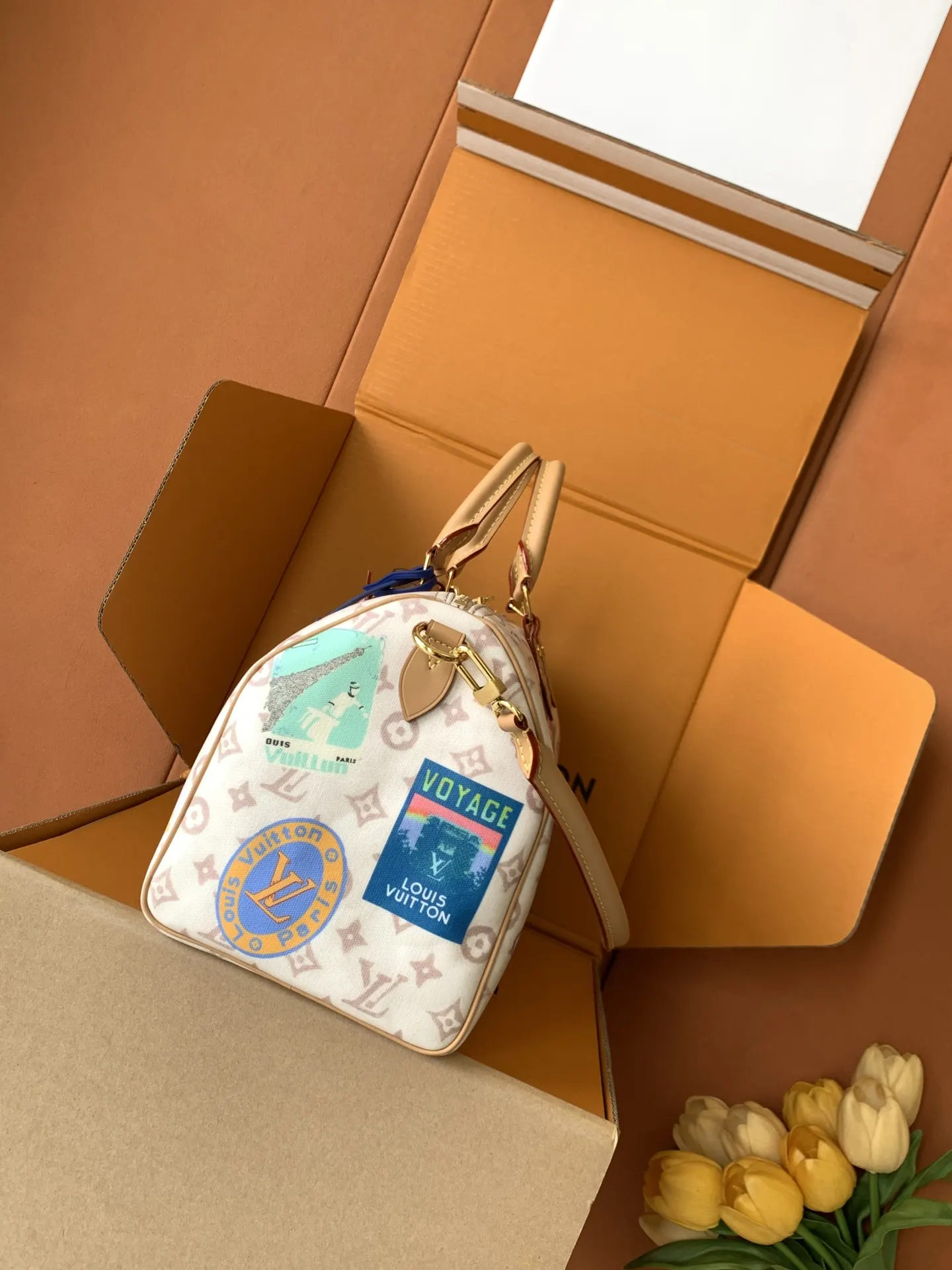 Louis Vuitton Shoulder Bag