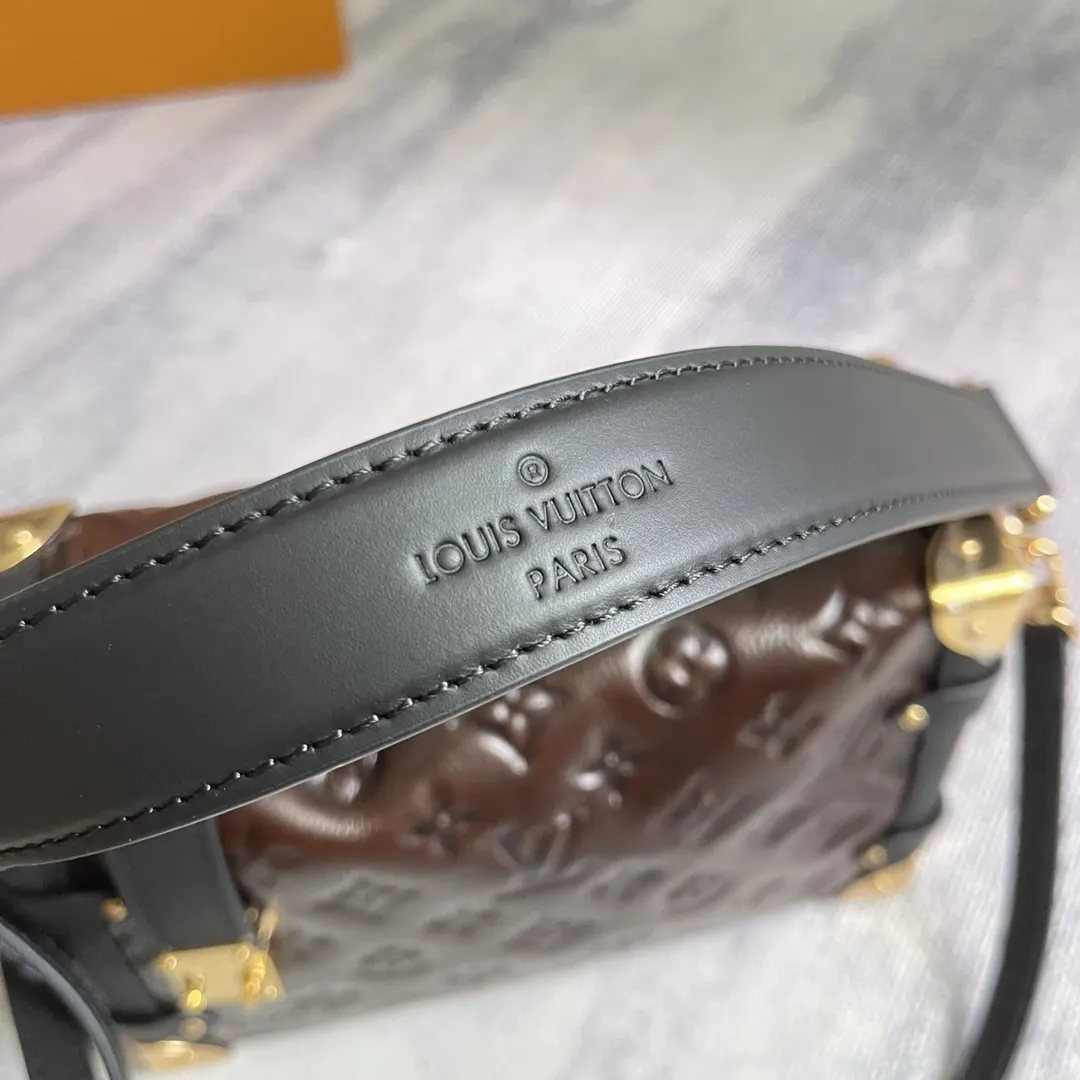 Louis Vuitton Organizer Pouch Travel Leather