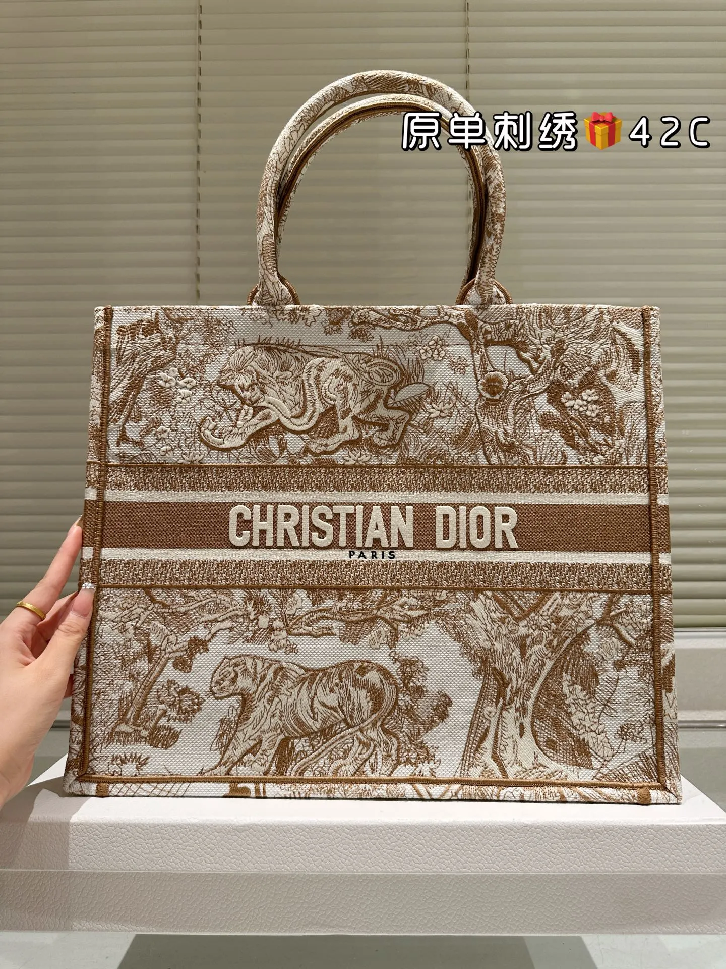 Dior Monogram Tote Bag