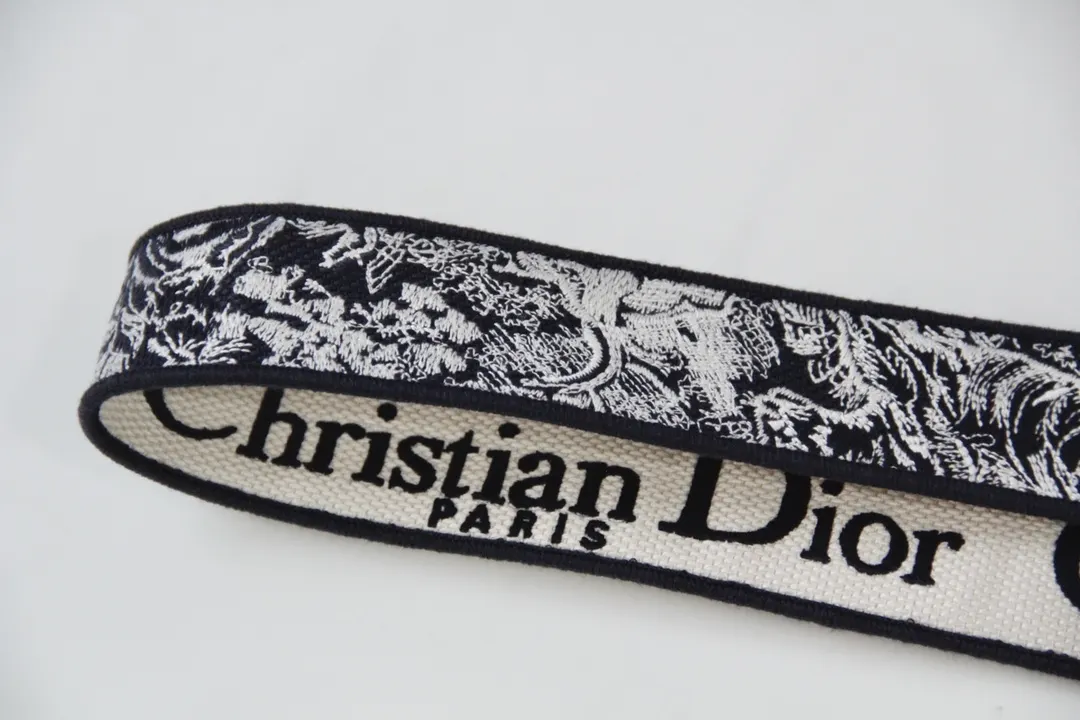 Dior 蓝色 金色 斜挎包 轻便斜挎款