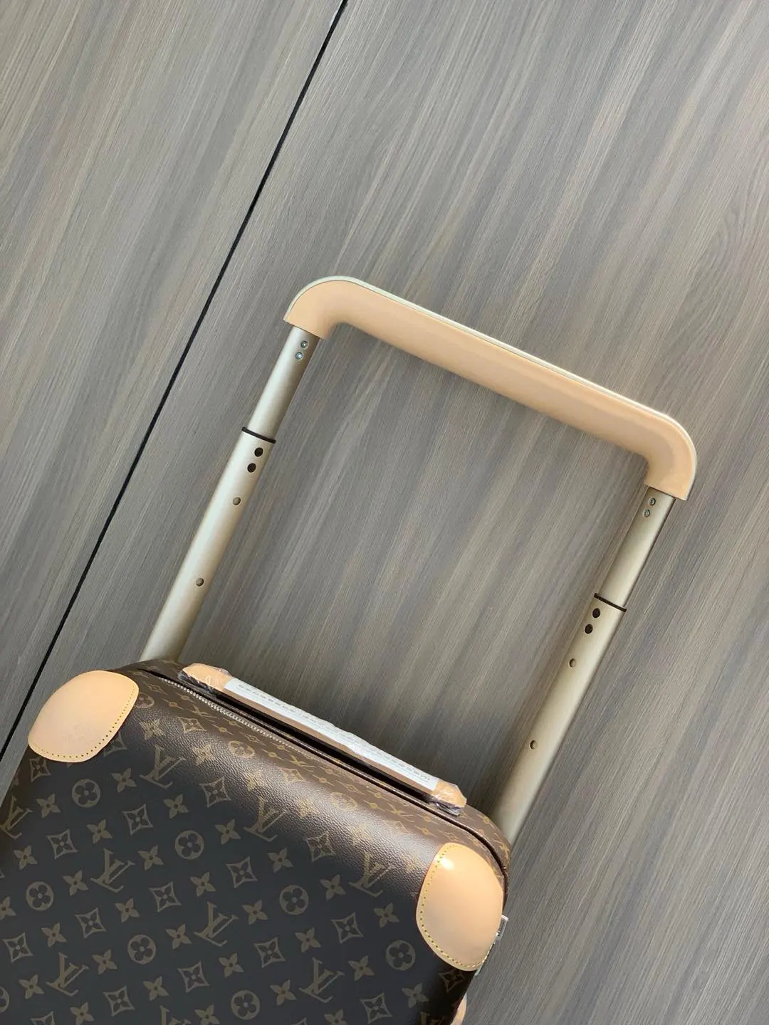 驴牌拉杆箱旅行箱 路易v 变色皮 海关锁 万向 行李箱 旅行拉杆款 輕便出行款