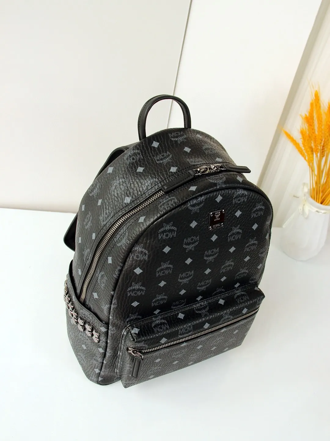 Backpack Canvas