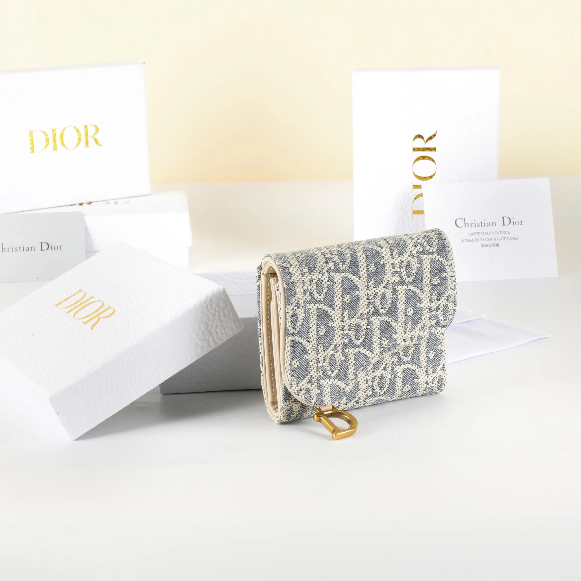 Dior Saddle 金色 钱包