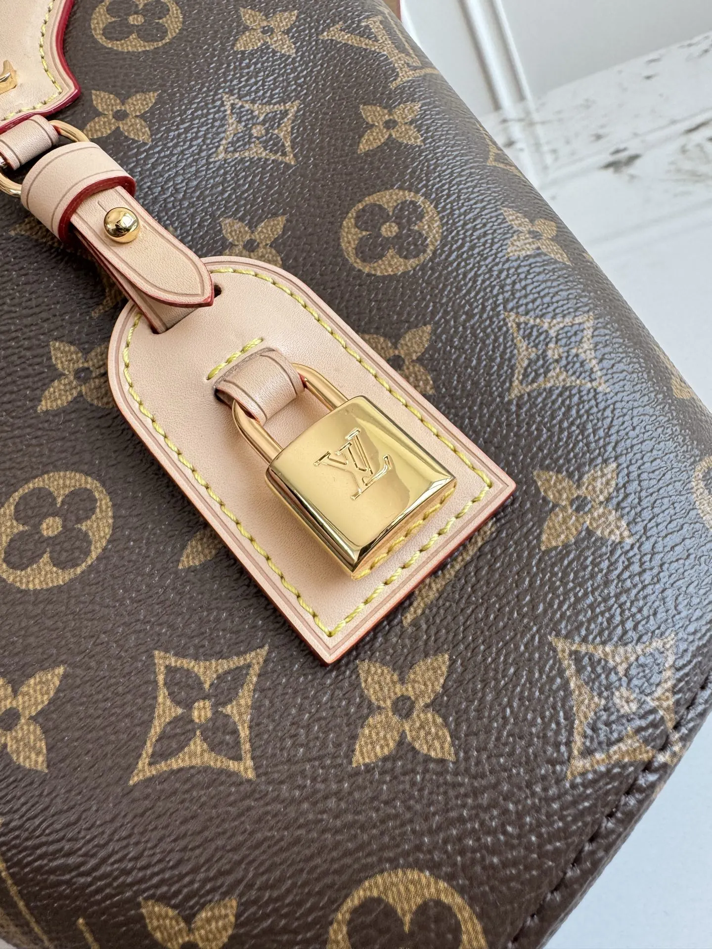 LV 帆布 背景 动态 Nicolas 水桶包 休闲水桶款