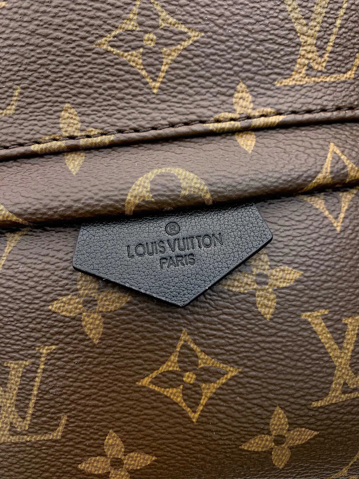 Louis Vuitton Backpack