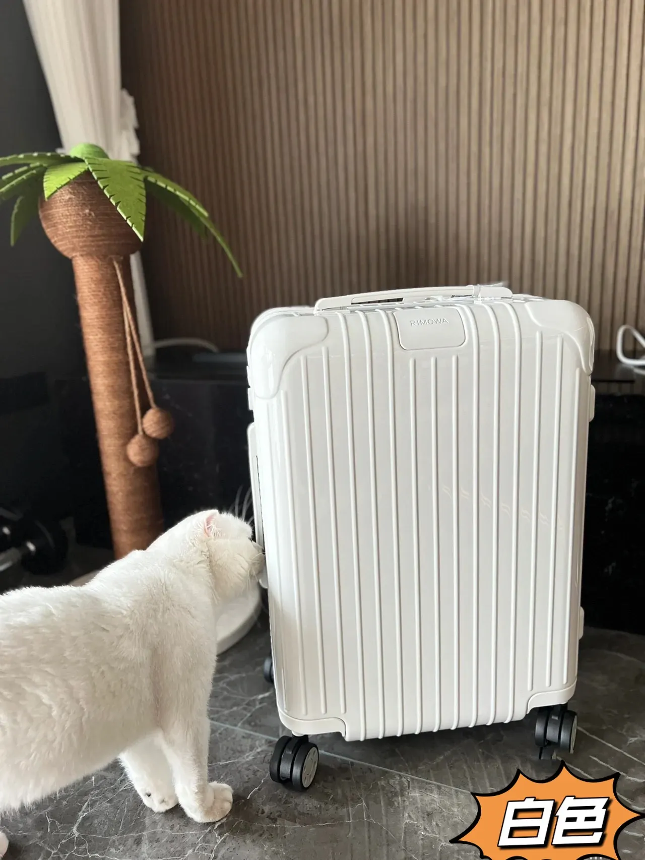 黑色 白色 新版升级 RIMOW 日默w Trun 行李箱 旅行拉杆款 輕便出行款