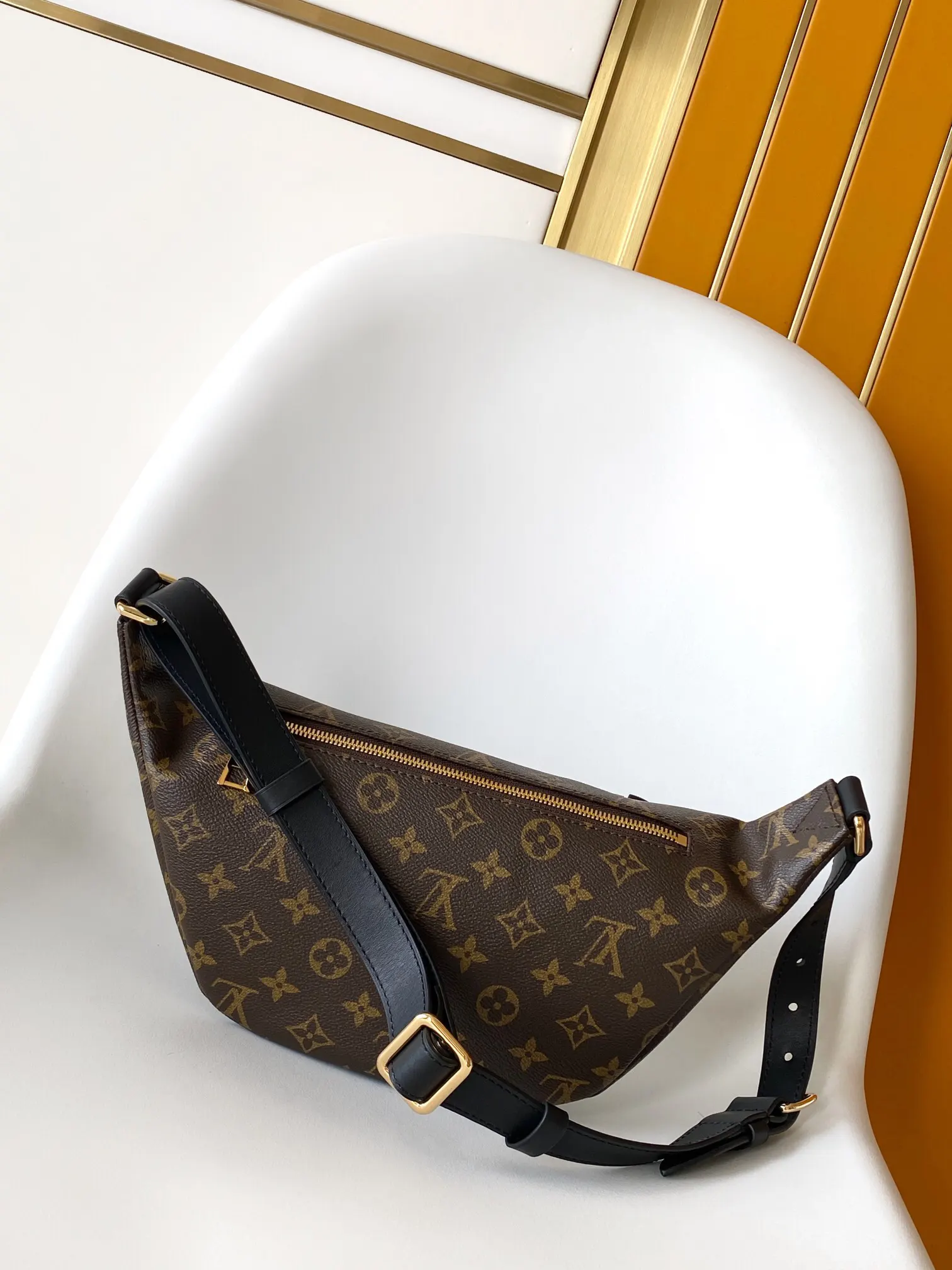 Louis Vuitton Belt Bag Casual Canvas