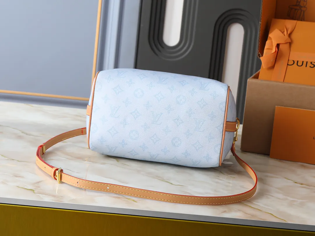 Louis Vuitton Organizer Pouch Travel Leather