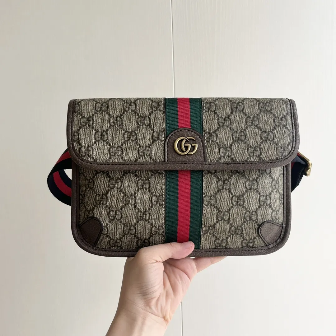 Gucci Belt Bag Casual