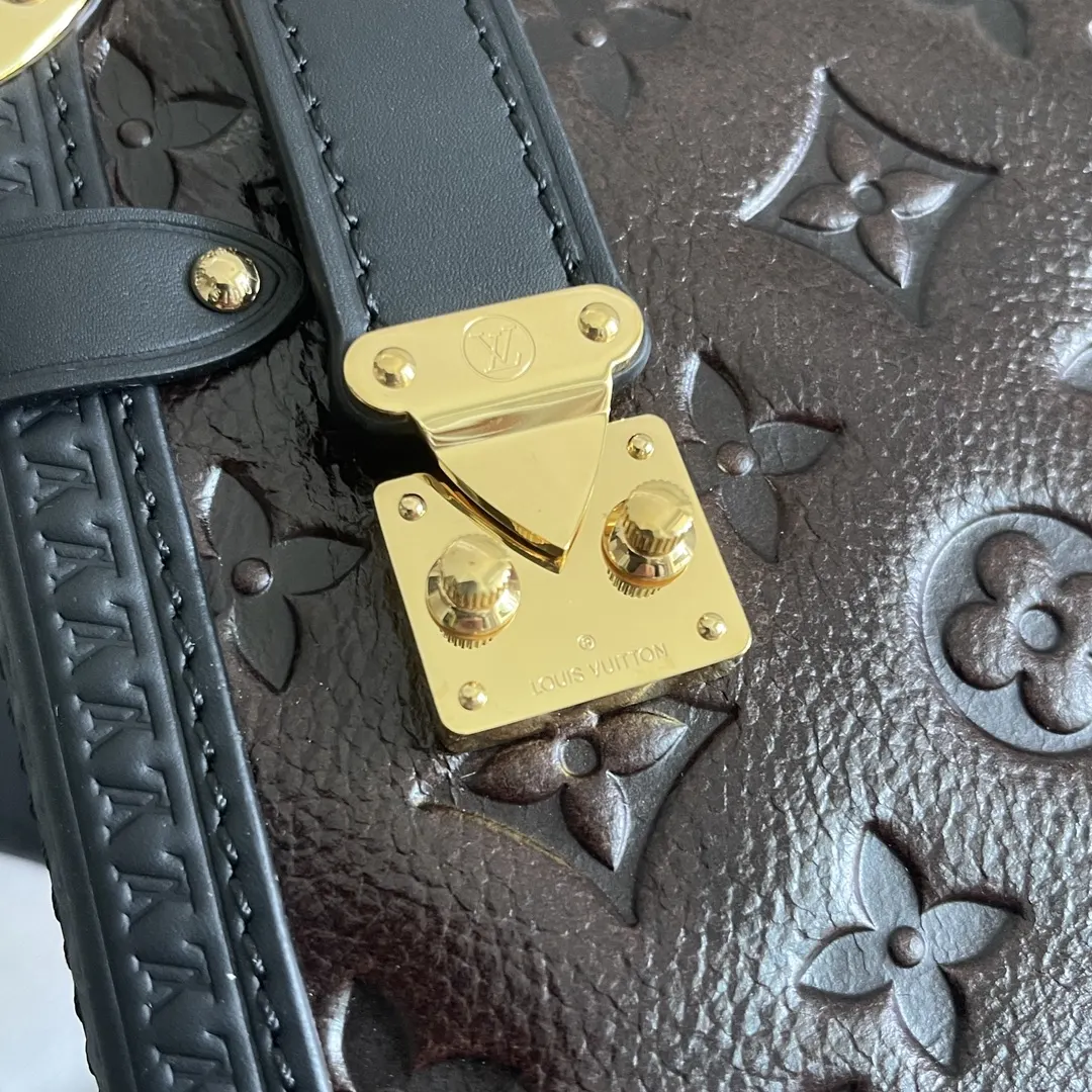 Louis Vuitton Organizer Pouch Travel Leather